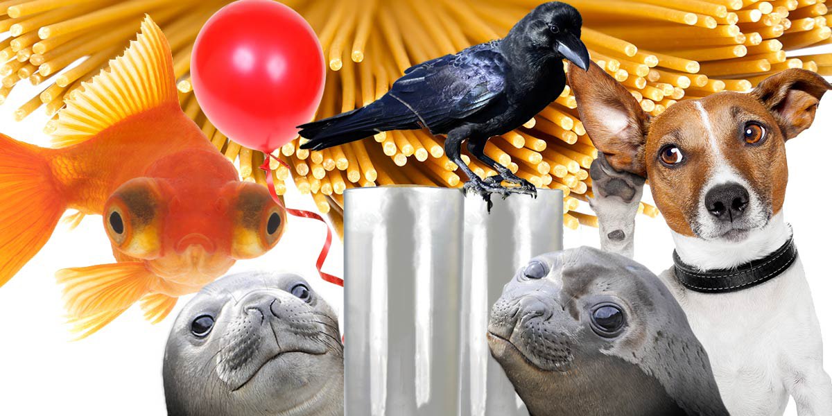 Common Shrink Wrap Problems and How To Solve Them